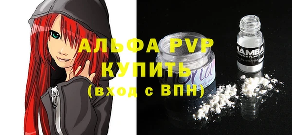 ПСИЛОЦИБИНОВЫЕ ГРИБЫ Няндома