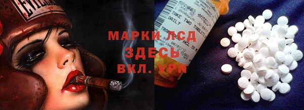 ПСИЛОЦИБИНОВЫЕ ГРИБЫ Няндома