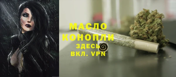 ПСИЛОЦИБИНОВЫЕ ГРИБЫ Няндома