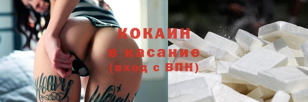 ПСИЛОЦИБИНОВЫЕ ГРИБЫ Няндома