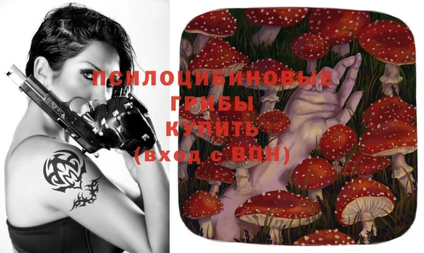 ПСИЛОЦИБИНОВЫЕ ГРИБЫ Няндома