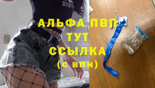 ПСИЛОЦИБИНОВЫЕ ГРИБЫ Няндома