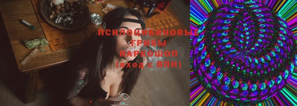 ПСИЛОЦИБИНОВЫЕ ГРИБЫ Няндома