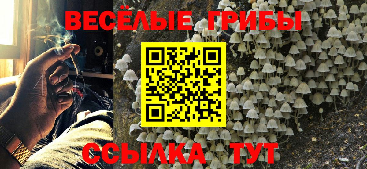 Галлюциногенные грибы мицелий  Вход с VPN  Мытищи 